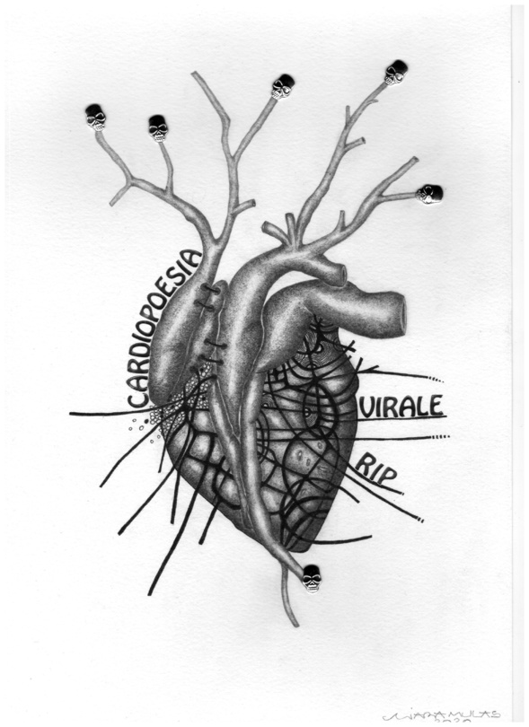 LA FORÊT DES SIGNES (P 2) LA FORÊT DES SIGNES (P 2)