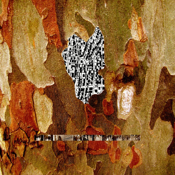 LA FORÊT DES SIGNES (P6) LA FORÊT DES SIGNES (P6)