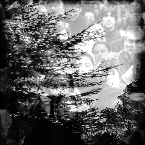 LA FORÊT DES SIGNES (P8) LA FORÊT DES SIGNES (P8)