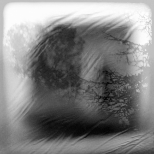 PAYSAGE DE CERVEAU, texte Claude BER, Photographies Adrienne ARTH PAYSAGE DE CERVEAU, texte Claude BER, Photographies Adrienne ARTH