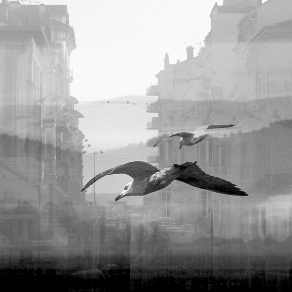 PAYSAGE DE CERVEAU, texte Claude BER, Photographies Adrienne ARTH PAYSAGE DE CERVEAU, texte Claude BER, Photographies Adrienne ARTH