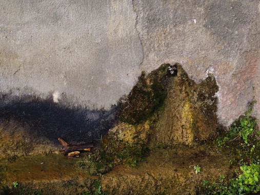 Marilyne BERTONCINI Marilyne BERTONCINI