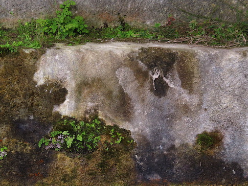 Marilyne BERTONCINI Marilyne BERTONCINI